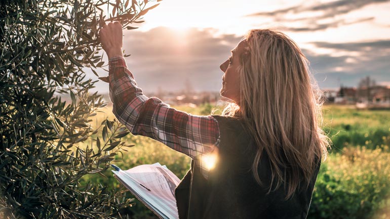 Φυτοφάρμακα | Γεωργικά Εφόδια Πλούσιος Κωνσταντίνος